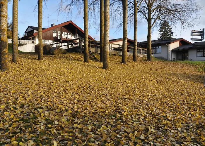 Hotel Hanhi